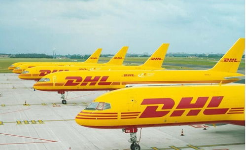 从深圳东莞 DHL快递 空运到新西兰的国际快递公司
